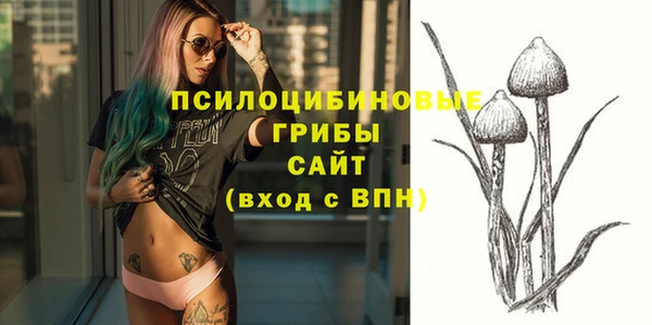 МДПВ Алзамай