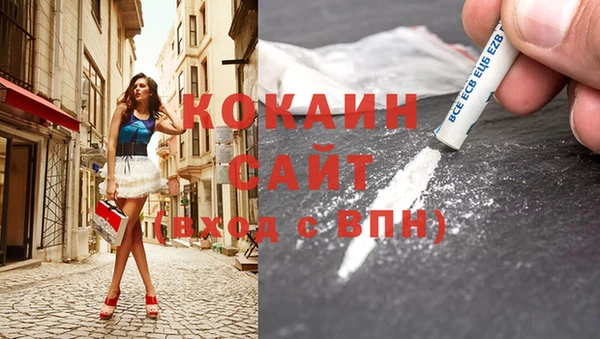 МДПВ Алзамай