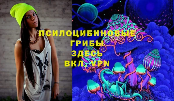 МДПВ Алзамай
