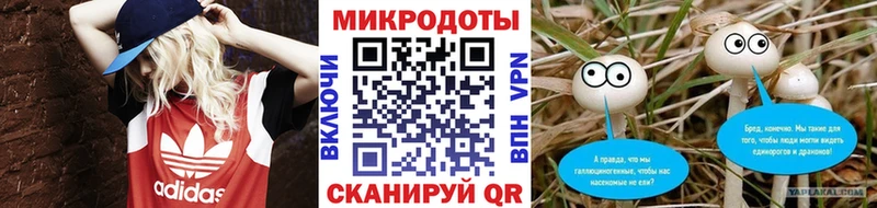 ссылка на мегу зеркало  Дзержинск  Псилоцибиновые грибы MAGIC MUSHROOMS 