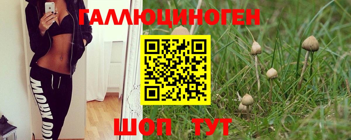 Псилоцибиновые грибы мухоморы Дзержинск